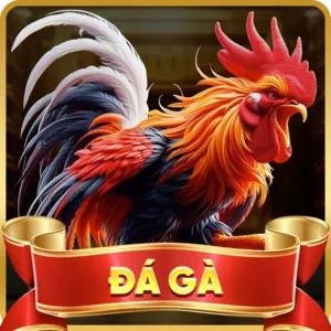 Giao Dịch Nhanh Chóng